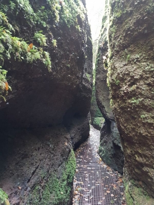 Drachenschlucht Eisenach 3618_21