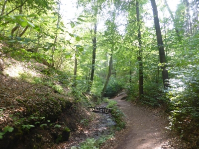 Drachenschlucht Eisenach 3618_27