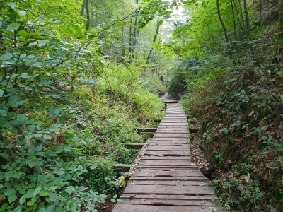Drachenschlucht Eisenach 3618_30