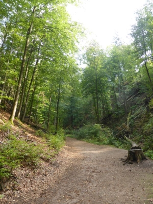 Drachenschlucht Eisenach 3618_34