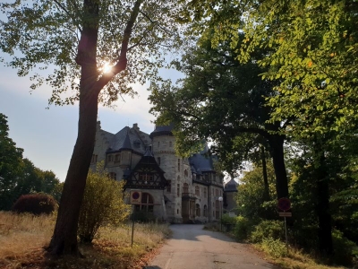 Stadtpark Eisenach 3618
