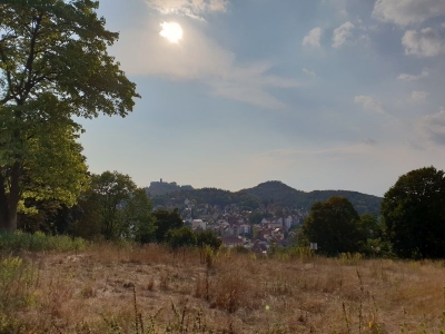 Stadtpark Eisenach 3618_05