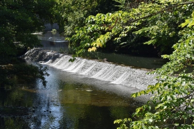 Park an der Ilm 19_02
