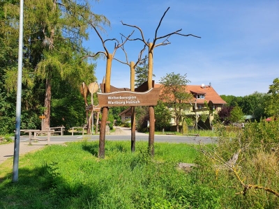 Baumkronenpfad Hainich 2520_03