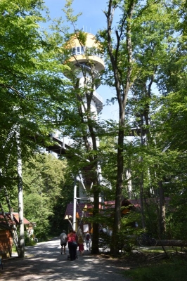 Baumkronenpfad Hainich 2520_18