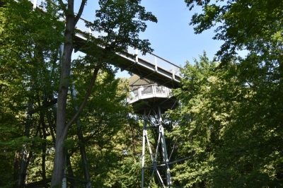 Baumkronenpfad Hainich 2520_21