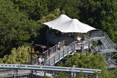 Baumkronenpfad Hainich 2520_35