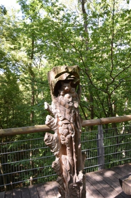 Baumkronenpfad Hainich 2520_46