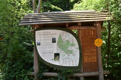 Baumkronenpfad Hainich 2520_49