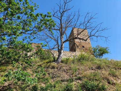 Burg Gleichen 2520