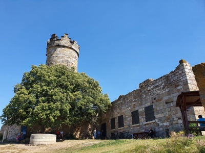 Mühlburg 2520_11