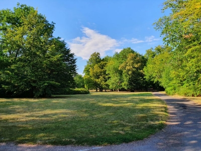 Schlosspark Gotha 2520