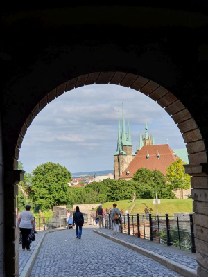 Erfurter Dom 2821_17