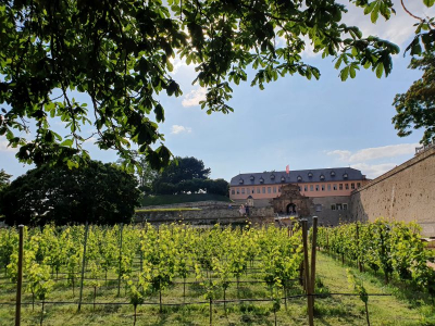 Zitadelle Petersberg 2821_03