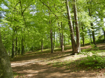 Schlachtensee Berlin Zehlendorf
