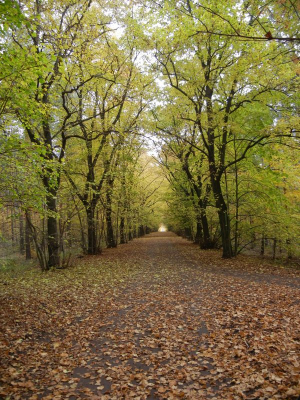 Wannsee