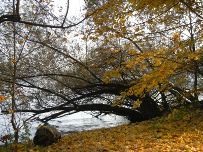 Wannsee_11