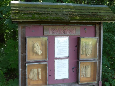 Insektenhotel Botanischer Volkspark Blankenfelde Berlin22.14