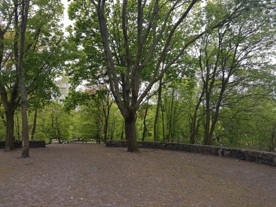 Schillerpark Berlin Mitte 1917~05