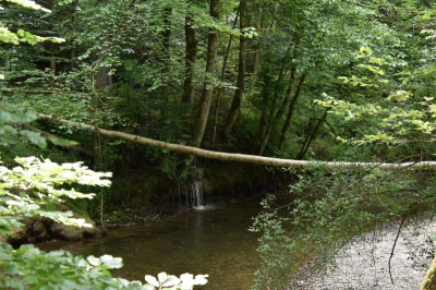 Eistobel 2622_22