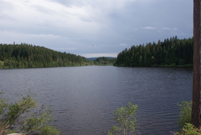 Windgfällweiher Falkau Feldberg