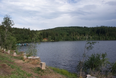 Windgfällweiher Falkau Feldberg_03