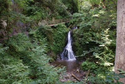 Lotenbachklamm bei Bonndof_02