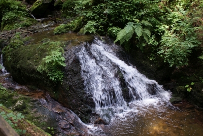Lotenbachklamm bei Bonndof_05