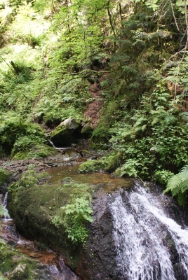 Lotenbachklamm bei Bonndof_06