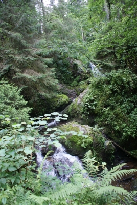 Lotenbachklamm bei Bonndof_18