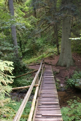 Lotenbachklamm bei Bonndof_21