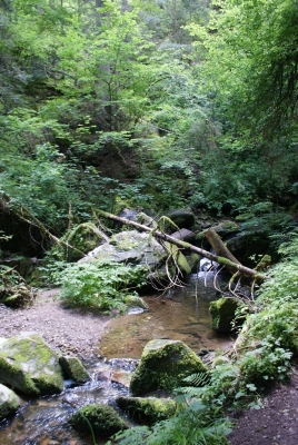 Lotenbachklamm bei Bonndof_24