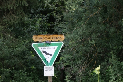 Lotenbachklamm bei Bonndof_28