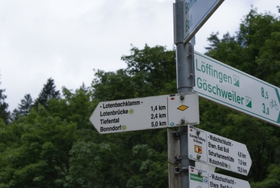 Lotenbachklamm bei Bonndof_29