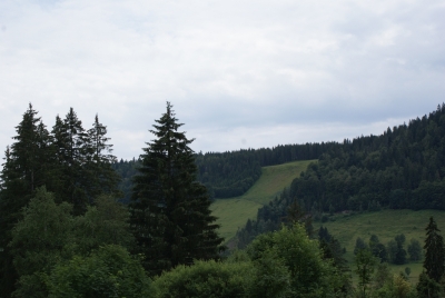 Wanderweg am Wasserfall Menzenschwand_04