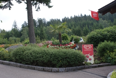 Freibad Schluchsee