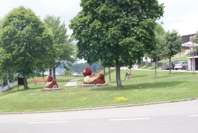 Schluchsee Stadt