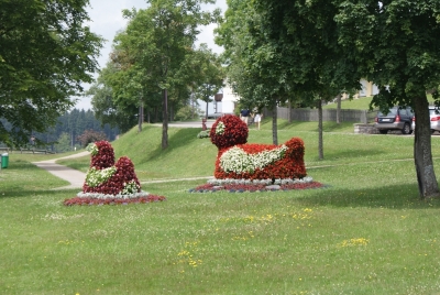 Schluchsee Stadt_02