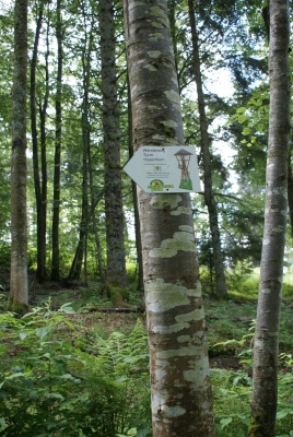 Hasenhorn Todtnau_03