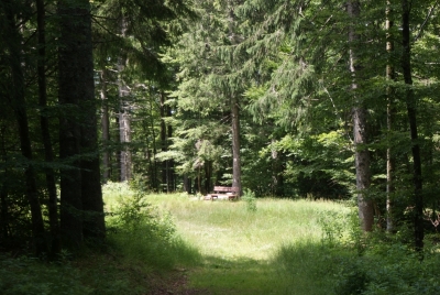 Hasenhorn Todtnau_04