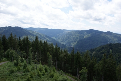Hasenhorn Todtnau_09