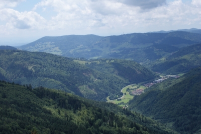 Hasenhorn Todtnau_11
