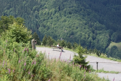 Hasenhorn Todtnau_15