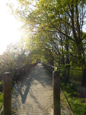 Radweg Schlepzig-Lübben 216_27