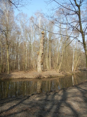 Jungfernheide Charlottenburg