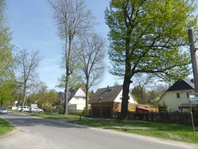 Schönwalde Siedlung 1518_18