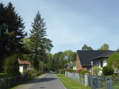 Schönwalde Siedlung 1518_20