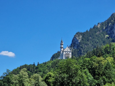 Schloss Neuschwanstein 2622_35