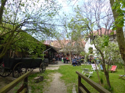 Radweg Groß Wasserburg-Unterspreewald 216_04