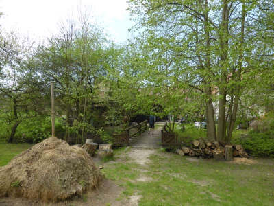 Radweg Groß Wasserburg-Unterspreewald 216_08